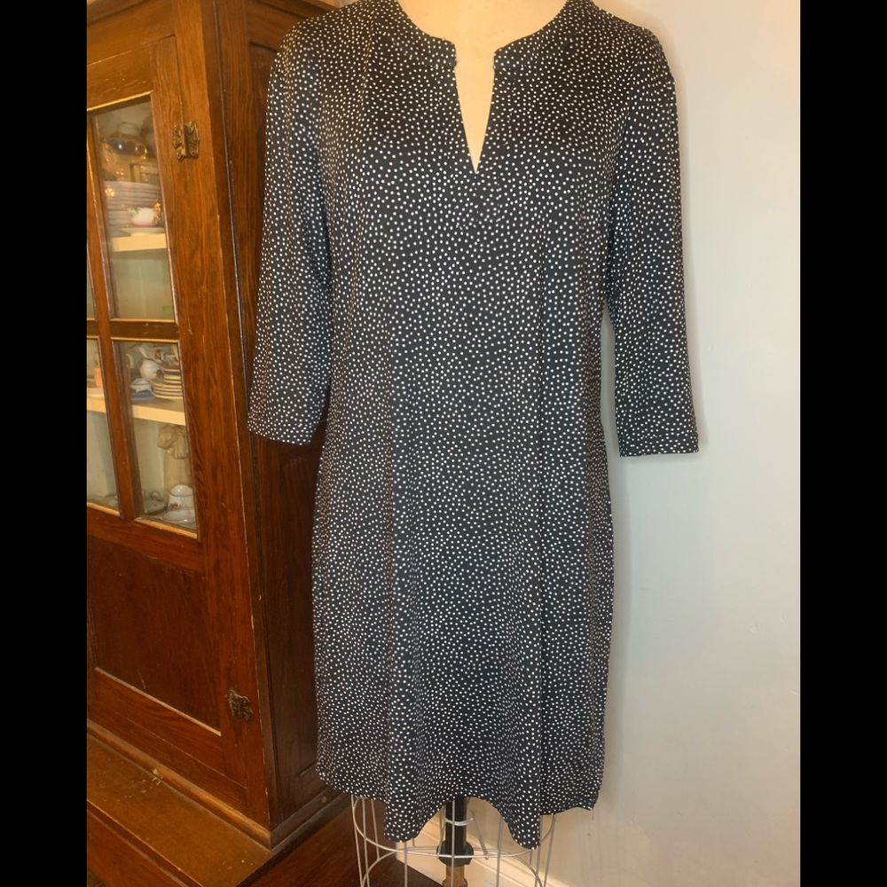 NWT Mary Square Starry Nights Dress